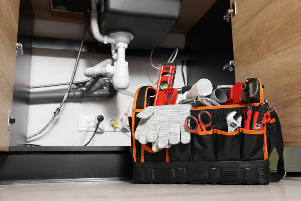 Best Plumbing Inspection Services  in Hermantown, MN