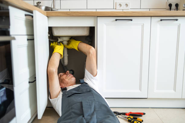 Best Same-Day Plumbing Service  in Hermantown, MN