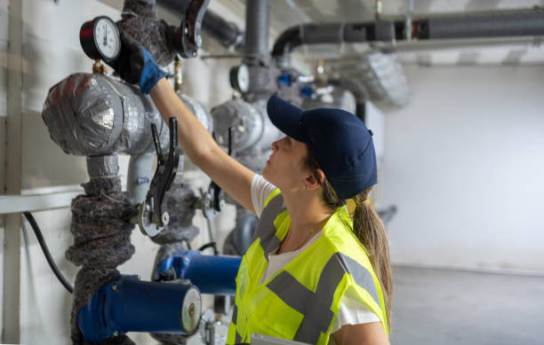 Best Local Plumber Services  in Hermantown, MN