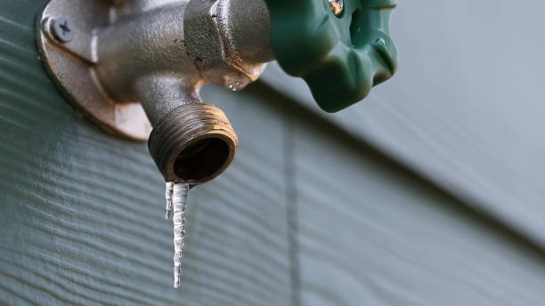 Best Sewer Line Repair  in Hermantown, MN